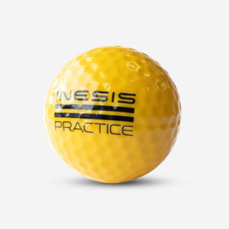 Practice Ball X300 - Inesis