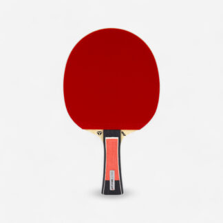 Club Table Tennis Bat Lebrun Pro X 5* Ittf